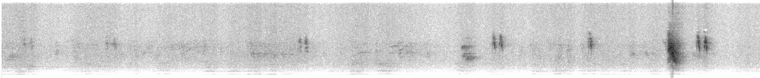 Хөх цэгцгий - ML643550764