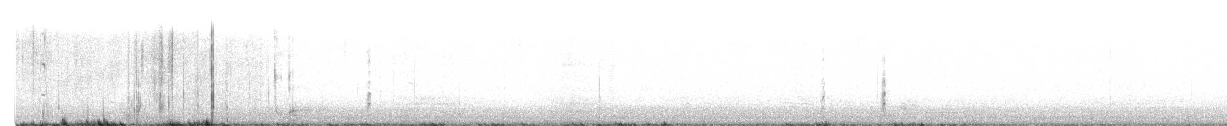 Black-necked Stilt (Black-necked) - ML643551172