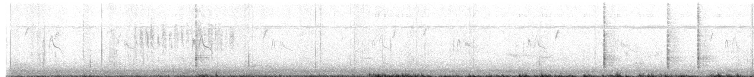 Great-tailed Grackle - ML643552556