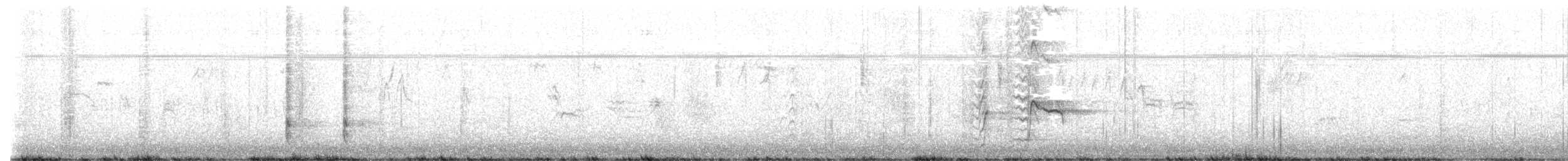 Great-tailed Grackle - ML643552581