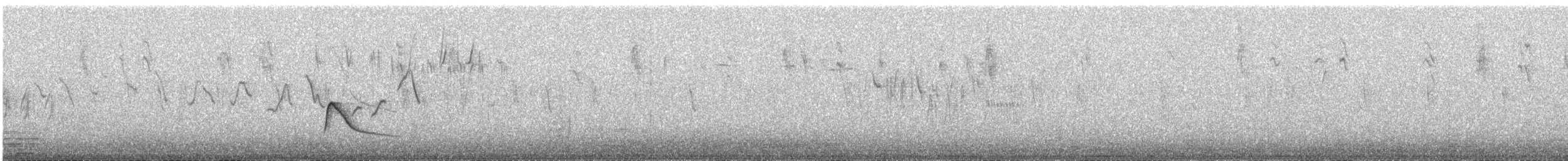 Mountain Elaenia - ML643552776