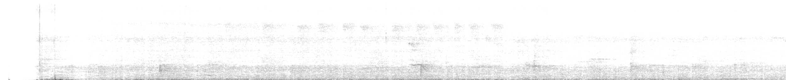 White-browed Warbler - ML643553083