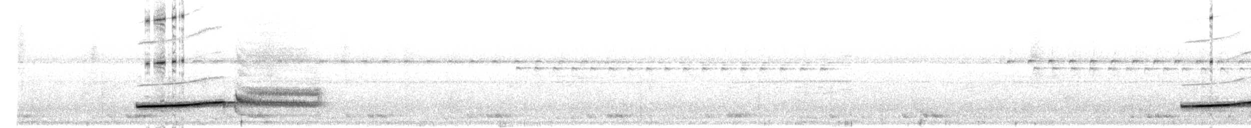 Marbled Wren-Babbler - ML643553282