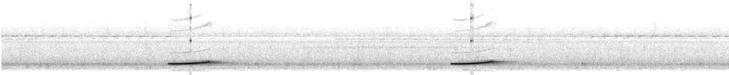 Marbled Wren-Babbler - ML643553286