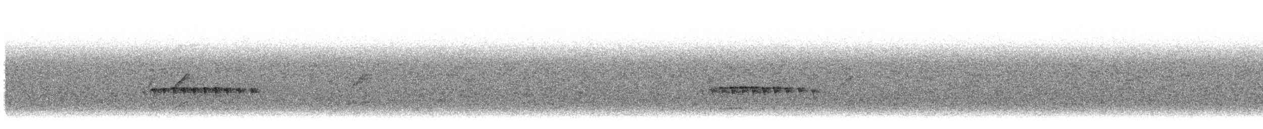 Diademed Tapaculo - ML643554229