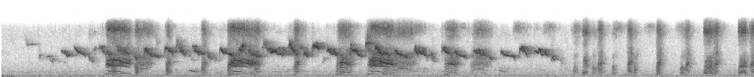 Eastern Gray Squirrel - ML643555153