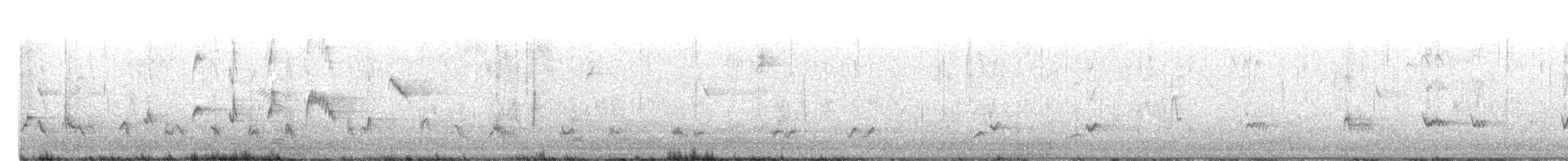 Northern Mockingbird - ML643555644