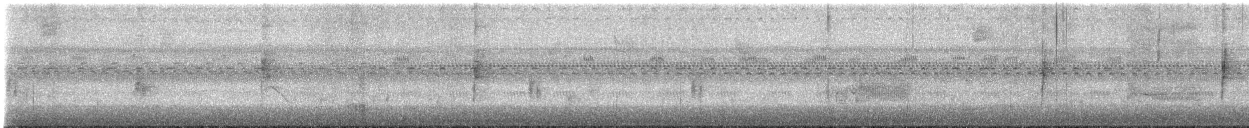 Northern Waterthrush - ML643557146