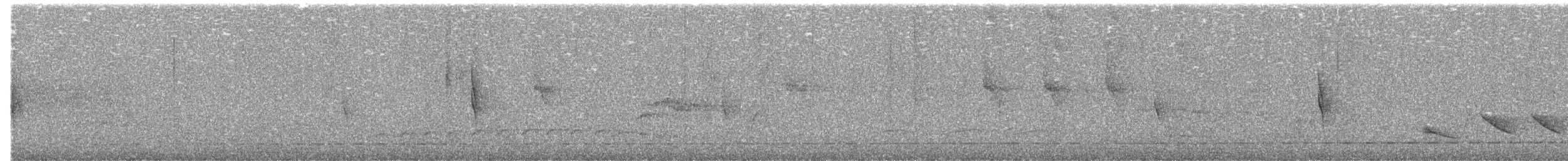Such's Antthrush - ML643557414