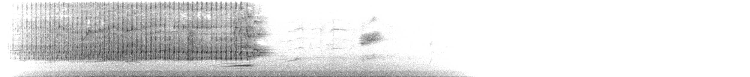 Australasian Grebe - ML643560048