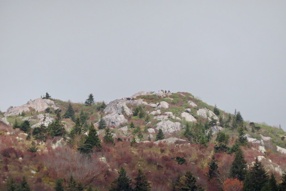 null - ML643560512