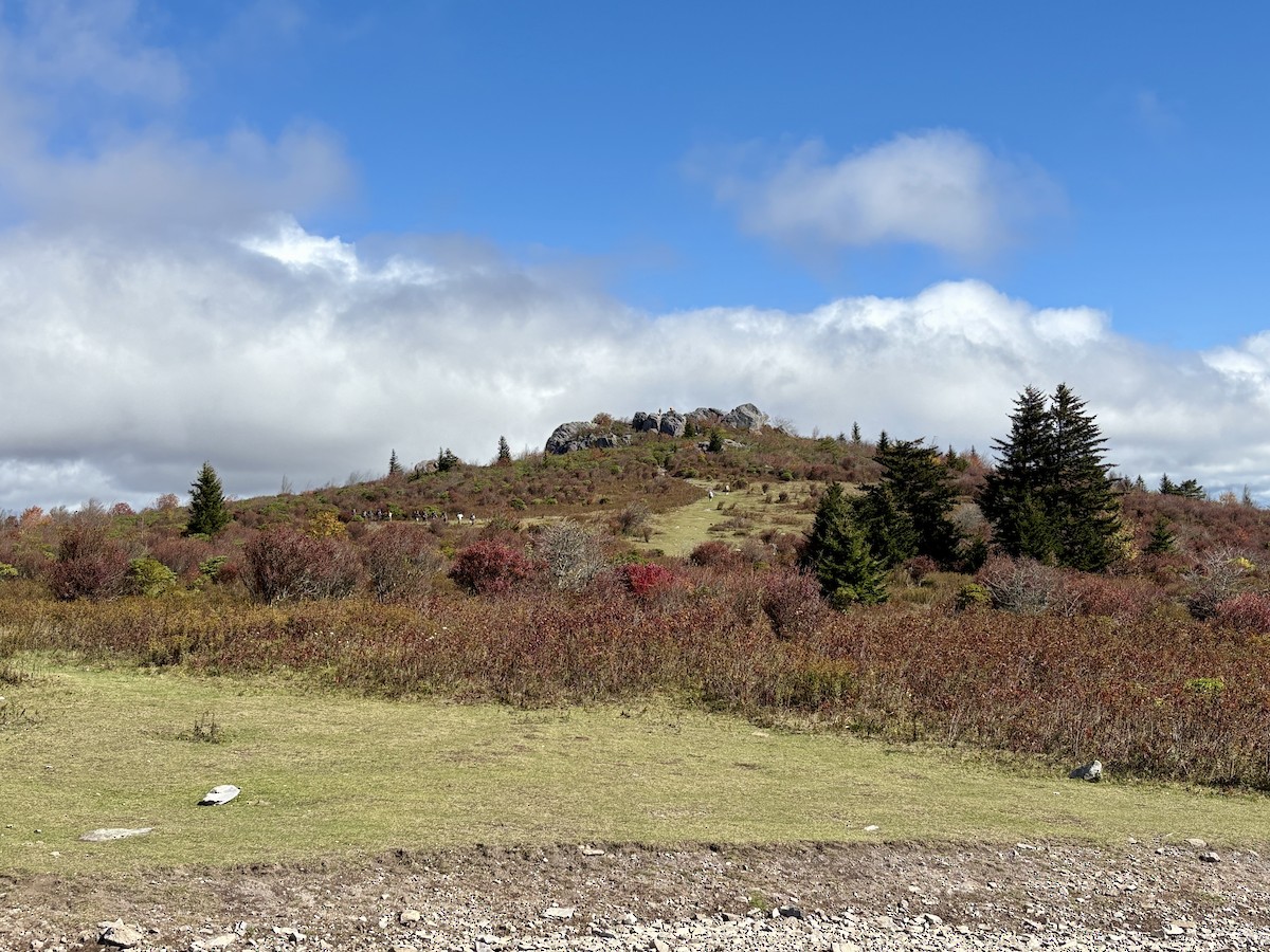 null - ML643560513