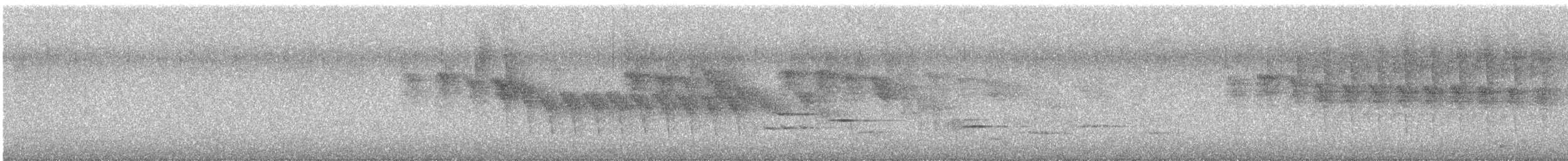 Mohoua à tête blanche - ML643560814