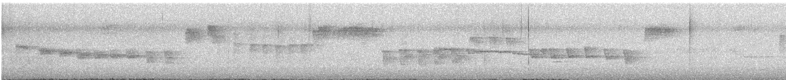 North Island Robin - ML643564386