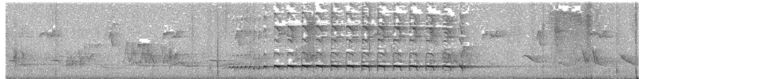 Batará Gigante - ML643564455