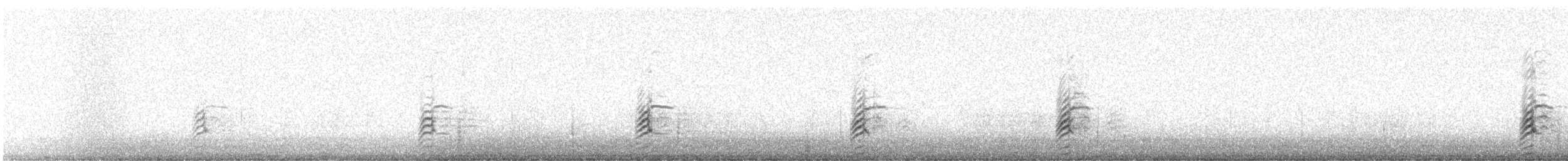 Gaviota Mexicana - ML643564579