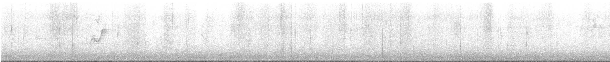 Western Flycatcher (Pacific-slope) - ML643564833