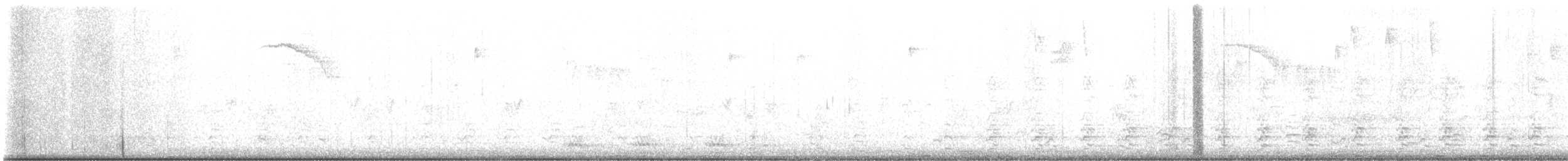 Oca canadese minore - ML643565494