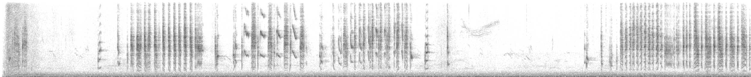 Marsh Wren - ML643565511