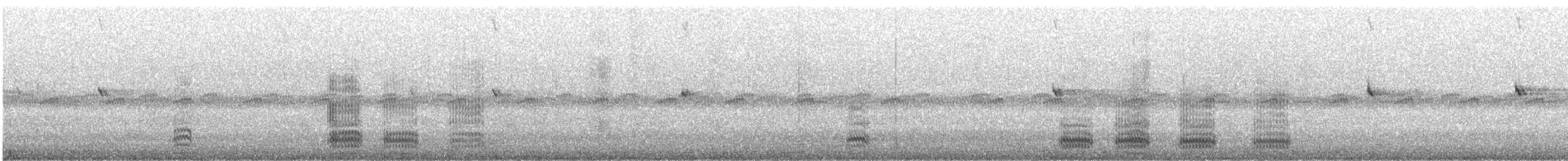 עורב שחור - ML643565567
