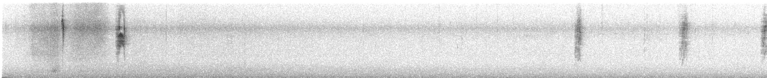 Whitehead - ML643565568