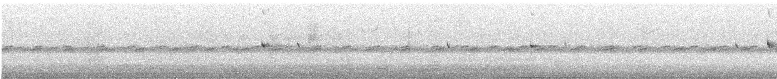 カリフォルニアムジトウヒチョウ - ML643565577