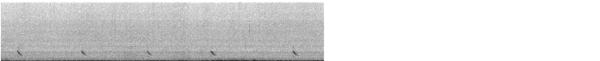 Ash-throated Crake - ML643565642