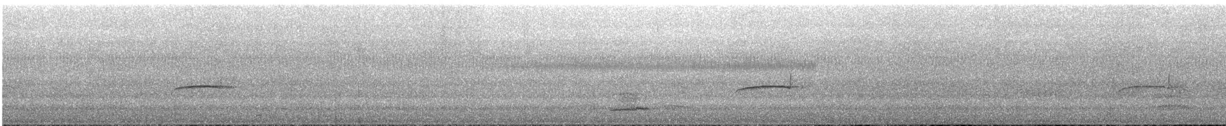 Southern Beardless-Tyrannulet - ML643565662