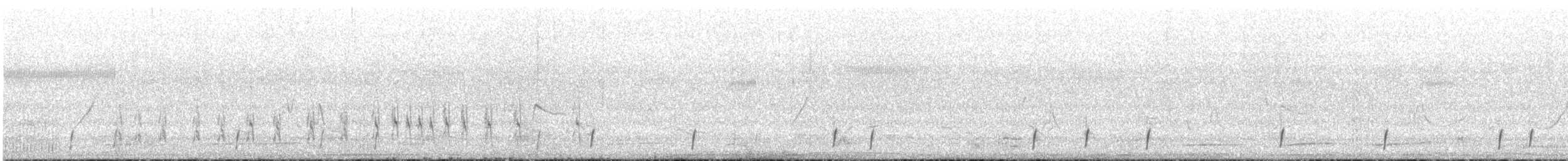 Sharp-tailed Tyrant - ML643565672