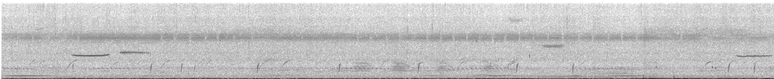 Grassland Sparrow - ML643565687