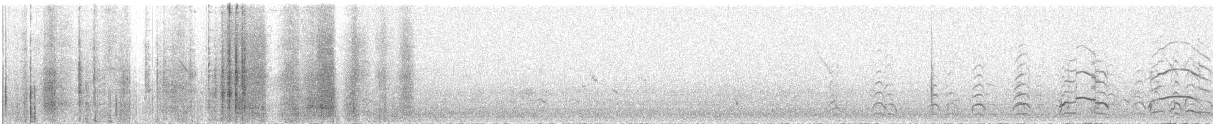 fiskemåke - ML643566055