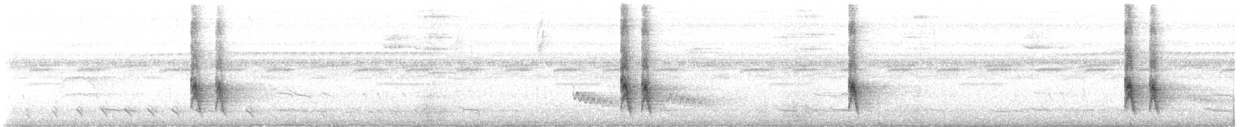 Sinsonte Tropical - ML643566185