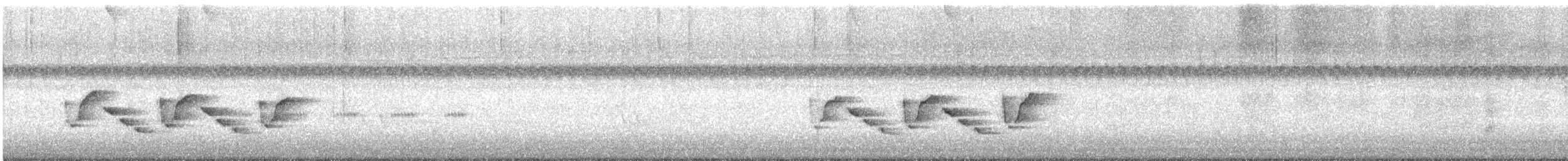チャバラマユミソサザイ - ML643566266