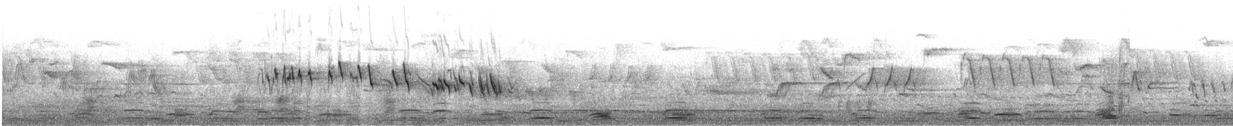 Лебідь-кликун - ML643567639