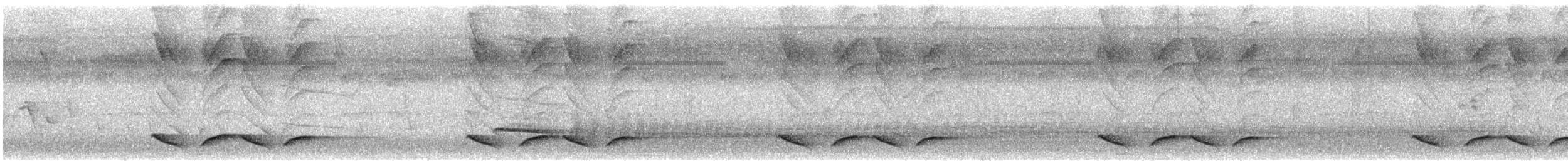 Yellow-billed Cacique - ML643569211