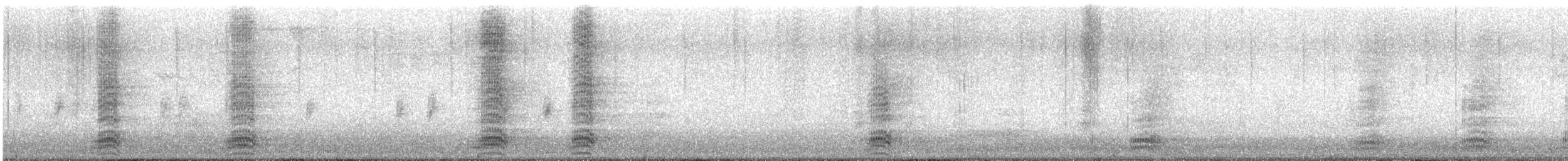 עורב שחור - ML643569822