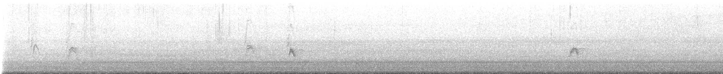 House Sparrow (Gray-cheeked) - ML643569849