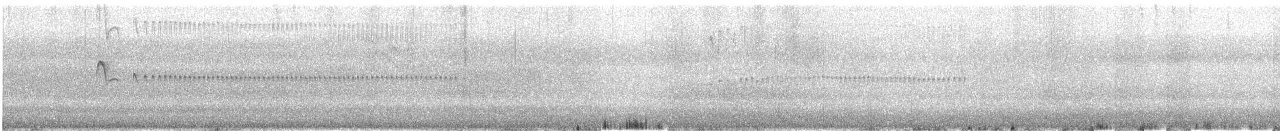 Straneck's Tyrannulet - ML643571423