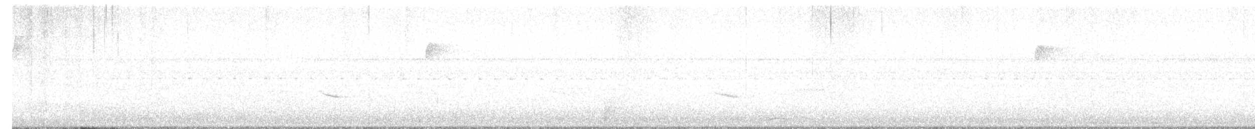 Hermit Thrush - ML643572411