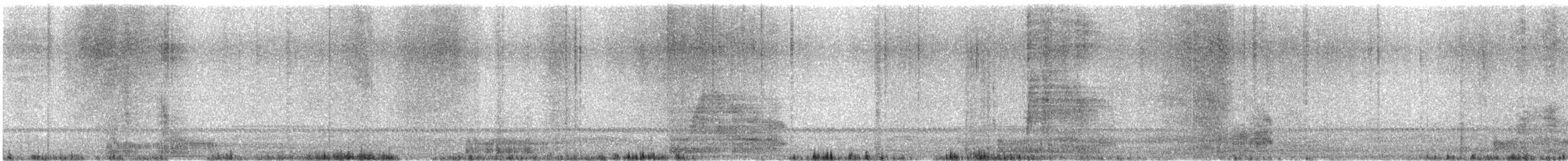 Buff-collared Nightjar - ML643572802