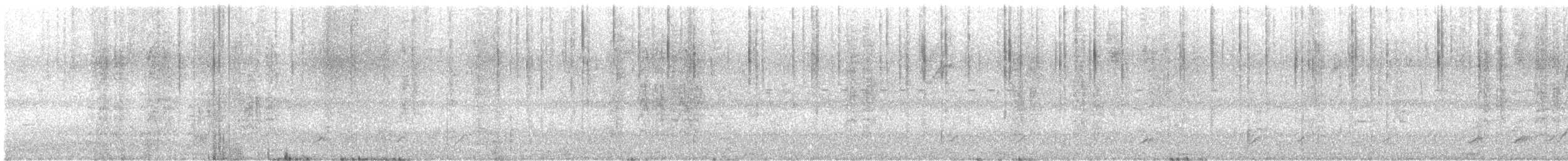 セアカオオツリスドリ - ML643572937