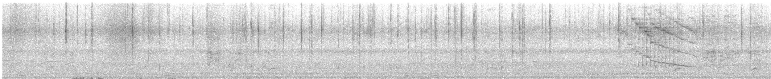 セアカオオツリスドリ - ML643572938