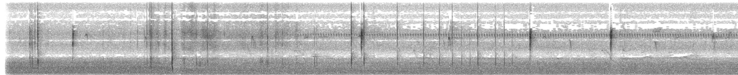 new world warbler sp. - ML643573027