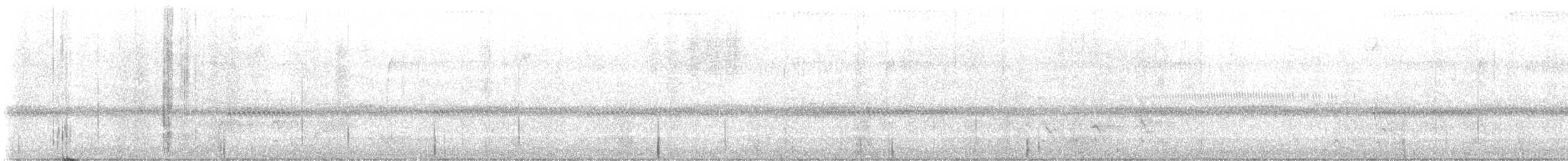 Búho Americano - ML643573431
