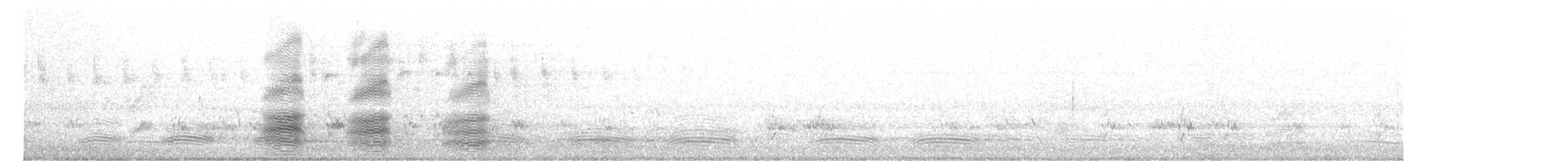 Gesellschaftskrähe - ML643573757