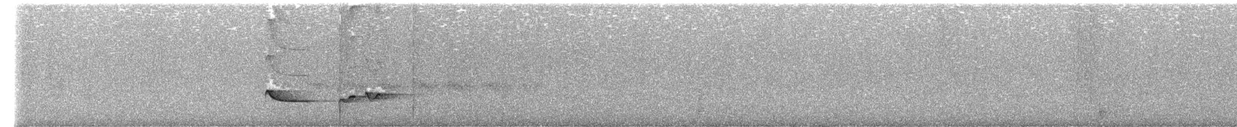 Greenish Schiffornis - ML643573763