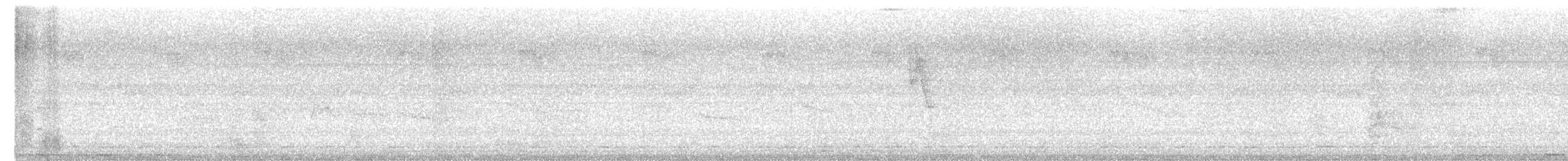 Greenish Warbler - ML643574160
