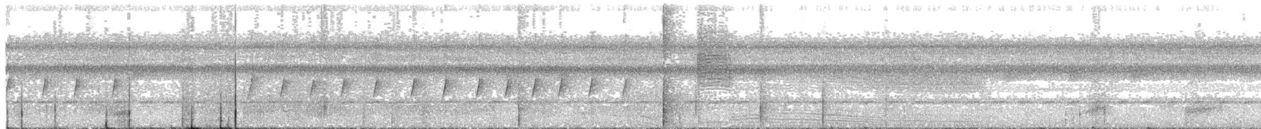 Striolated Manakin - ML643574486