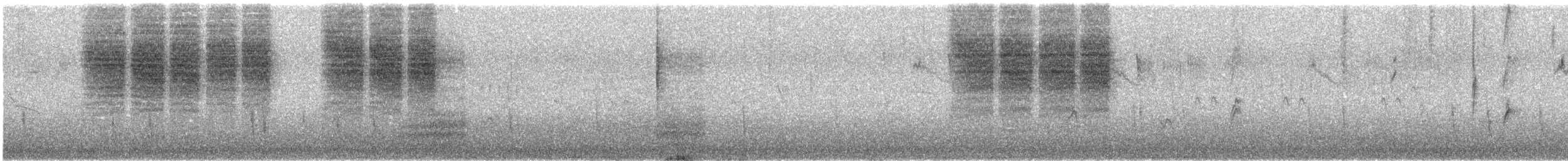 Cucarachero Colinegro (grupo spilurus) - ML643574567