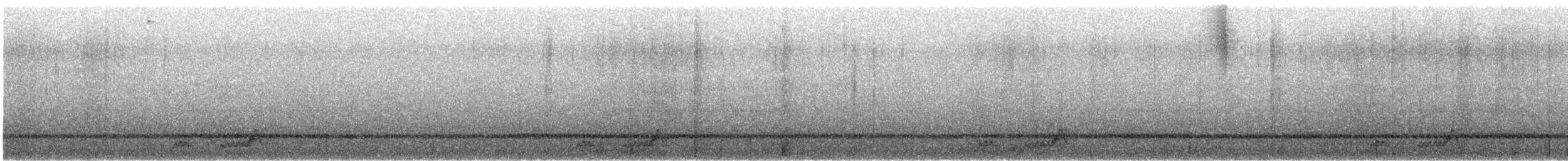 Mexican Whip-poor-will - ML643574611